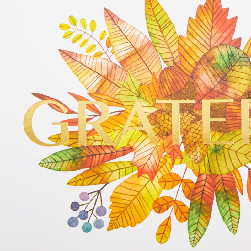 Sustainable Greetings Thank You Cards with Envelopes - 4 x 6 In, Multicolor, 48 Pack, Kraft - Greeting Card Pack & Thank You Notes - Blank Inside - Image 4